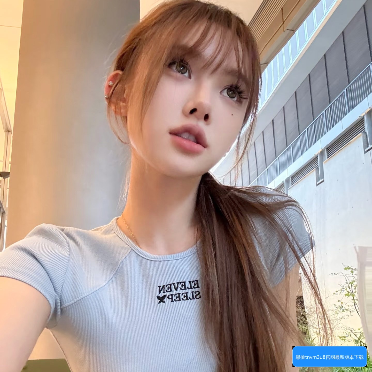 黑桃tnvm3u8官网最新版本怎么下载及使用指南